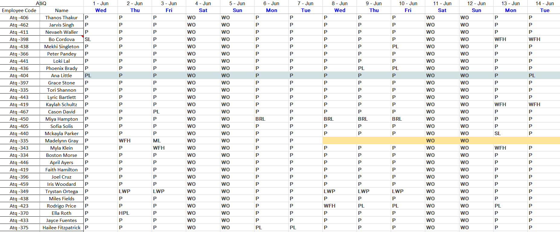 Attendance Data